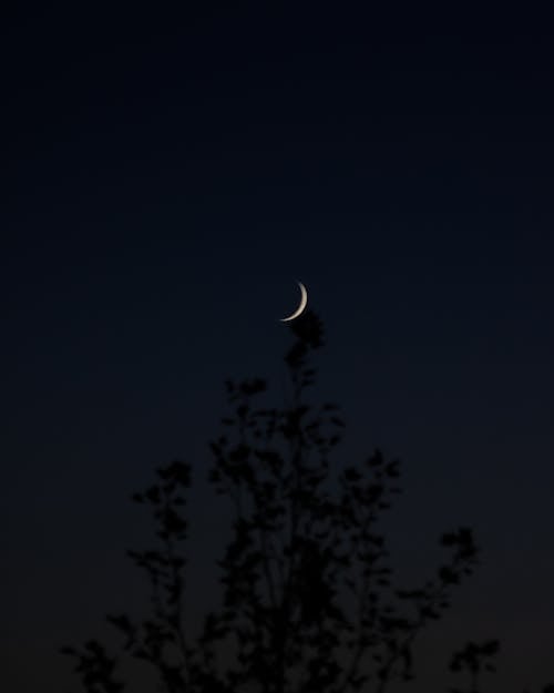 Crescent Moon on Black Sky