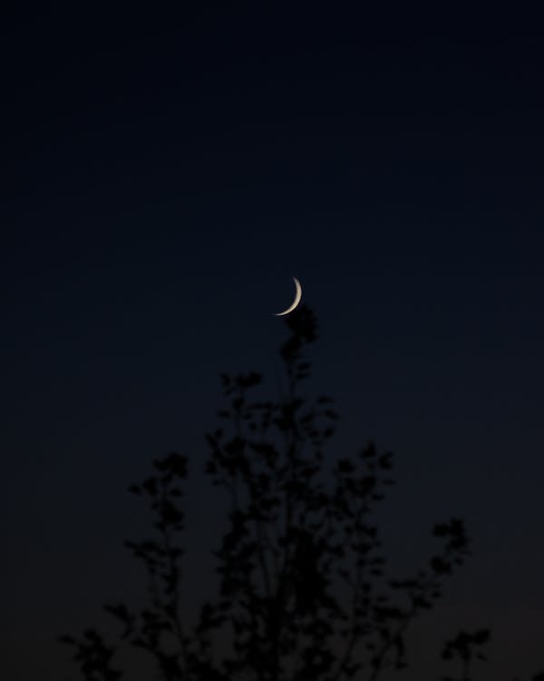 Gratis lagerfoto af astronomi, Halvmåne, lodret skud