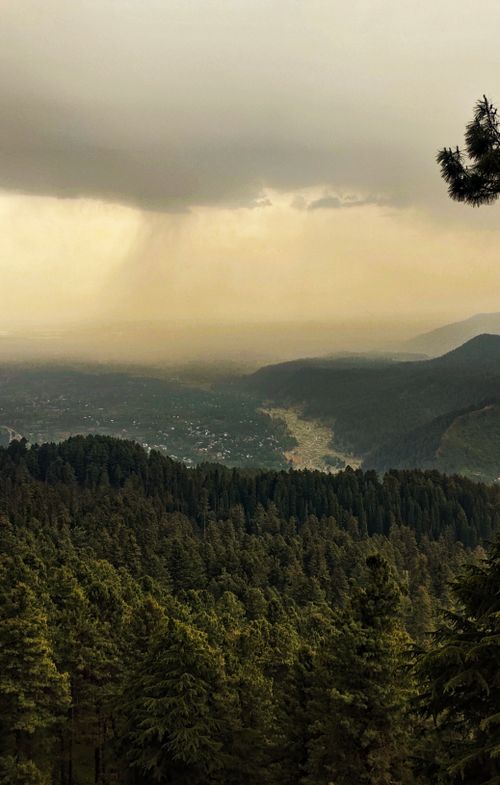 Free Stunning aerial view of lush forest and mountains in Gulmarg, capturing nature's beauty and serenity. Stock Photo