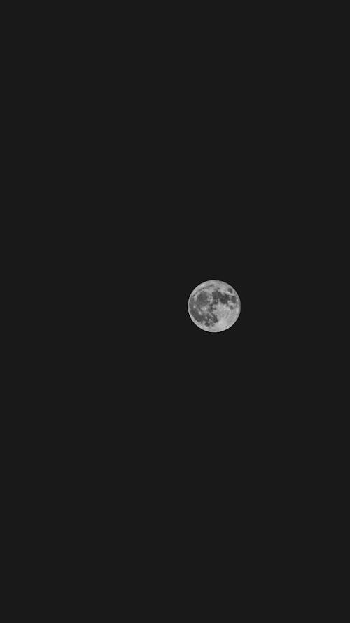 Full Moon in Night Sky