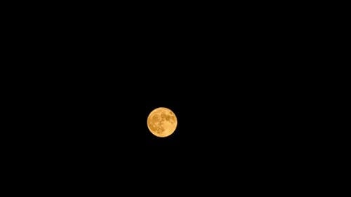 Kostnadsfria Kostnadsfri bild av fullmåne, gul, mörk Stock foto