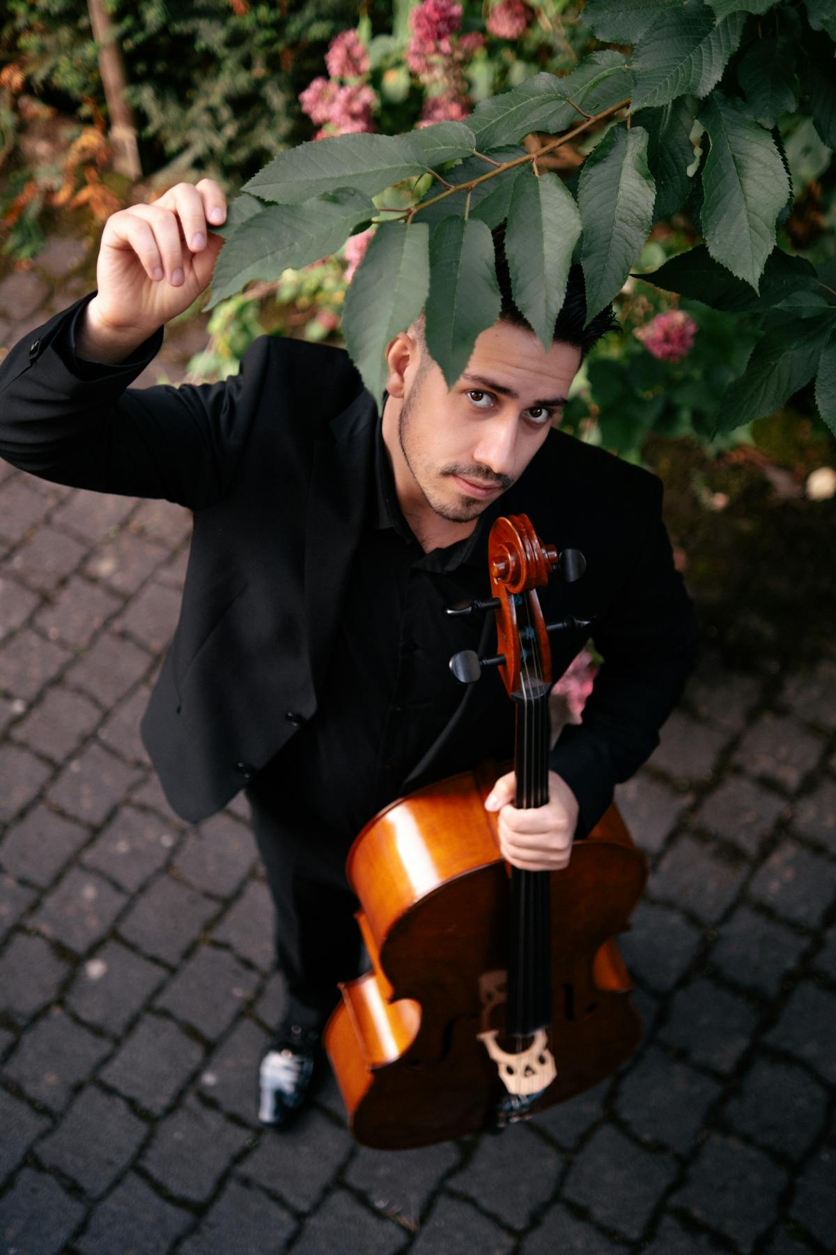 The Cellist Photos, Download The BEST Free The Cellist Stock Photos