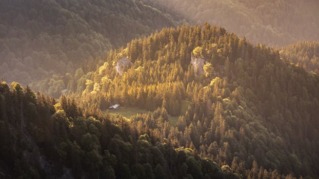 Peaceful mountain landscape with golden light over Bavarian forest, highlighting a secluded cabin.