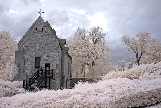 A gothic church surrounded by snow-laden trees creating a serene winter scene.