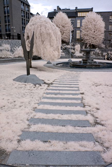 Tranquil winter scene featuring a frozen fountain in Mons, Belgium park.