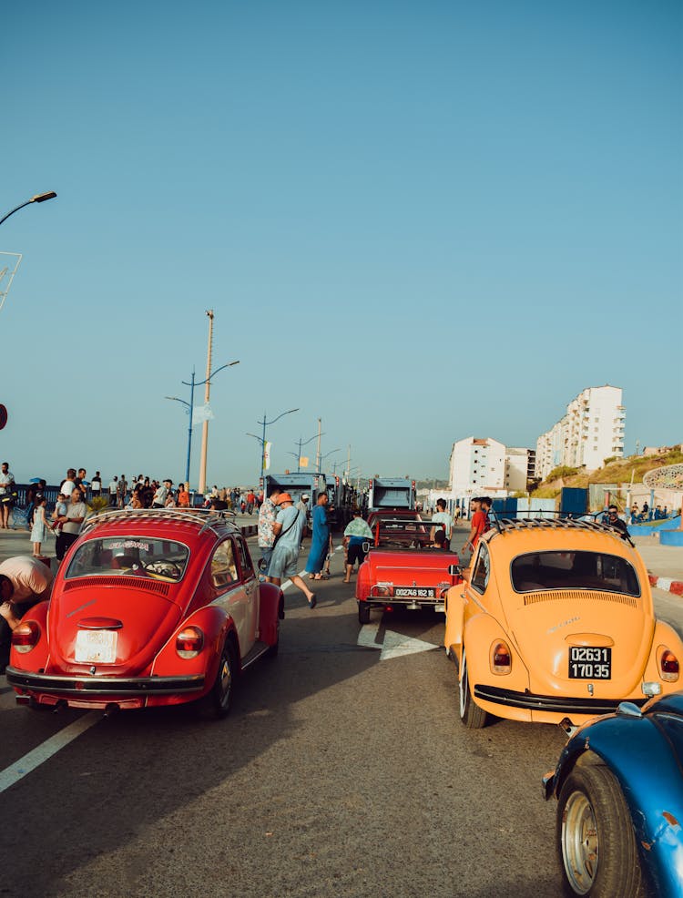 Vintage Volkswagen Beetle Cars On Street