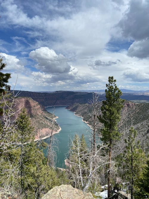 Scenic Panorama of a River in a Mountain Canyon