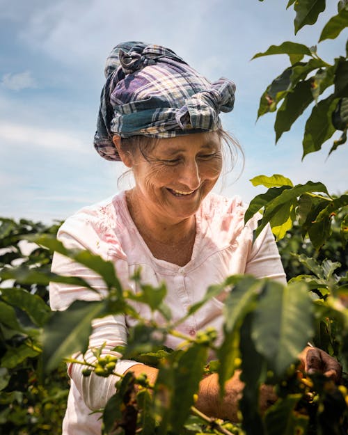A Woman Working at a Coffee Plantation and Smiling 