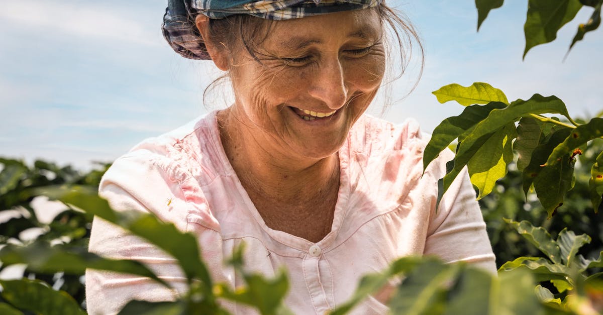 台灣UCC 40週年慶 引領精品咖啡走向國際 與阿里山優遊吧斯農場簽約合作