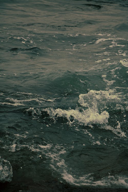 Základová fotografie zdarma na téma cákání, mávání, moře