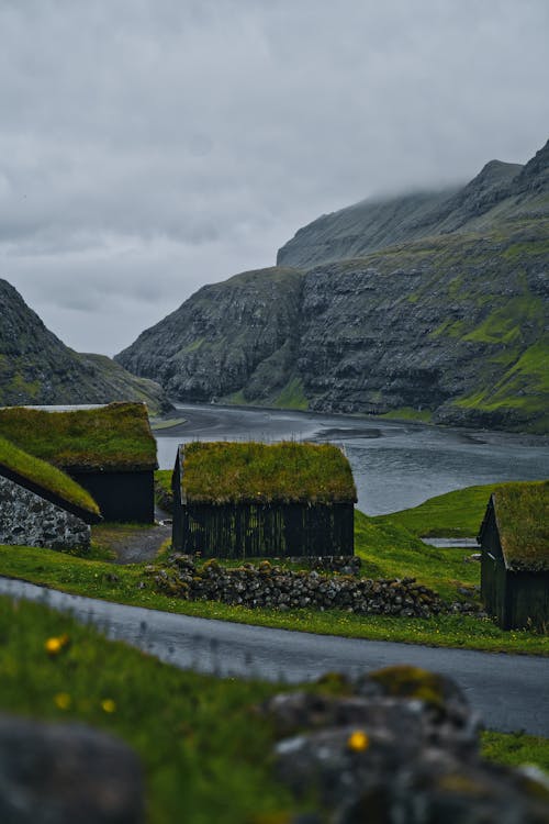 Imagine de stoc gratuită din călătorie, case, fiord