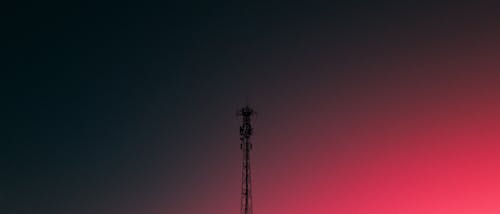 Free stock photo of tower