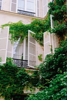 Elegant facade of a residential building with ivy-covered walls and open shutters, creating an urban, verdant scene.