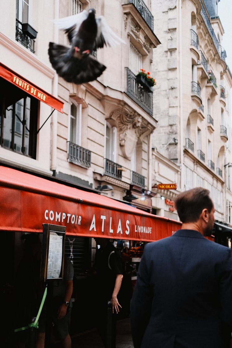 Overhang Of Restaurant In Paris