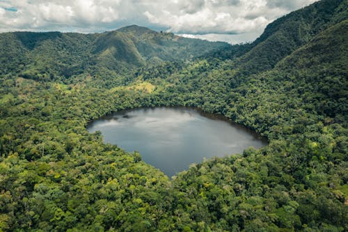 Δωρεάν στοκ φωτογραφιών με Crater Lake, αεροφωτογράφιση, δασικός