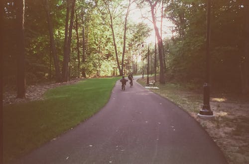 People on Bikes in a Park 