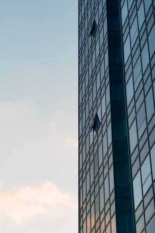 skyscraper, 反射, 垂直拍摄 的 免费素材图片