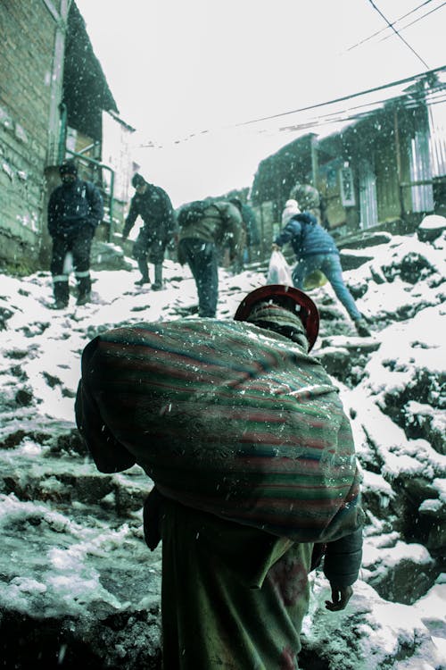 Photos gratuites de conditions météorologiques extrêmes, contre-plongée, froid