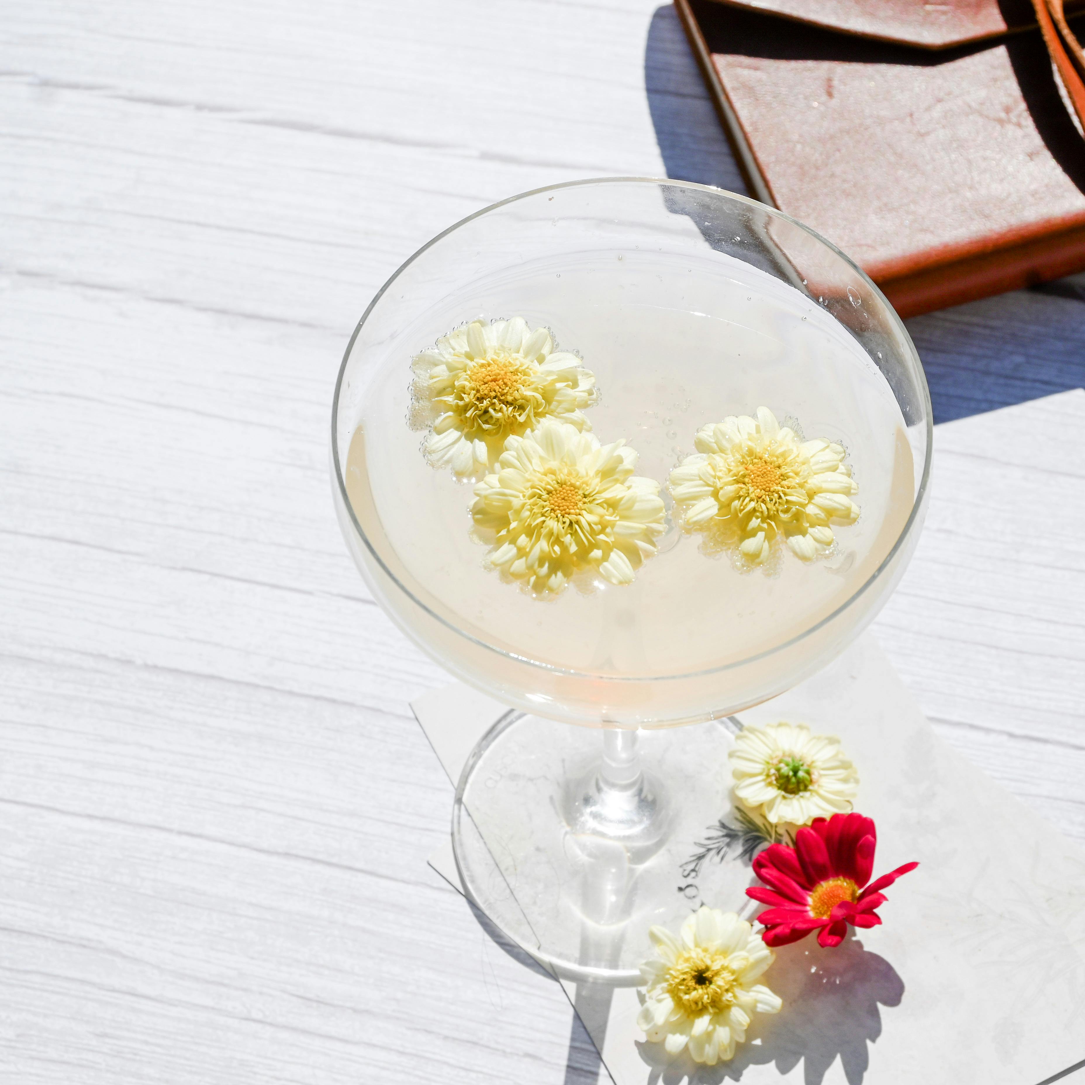 Edible Chrysanthemum - Urban Goes Green Plant Guide