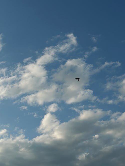 Blue Sky with Clouds