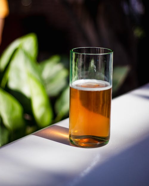 alkol, bardak, bira içeren Ücretsiz stok fotoğraf