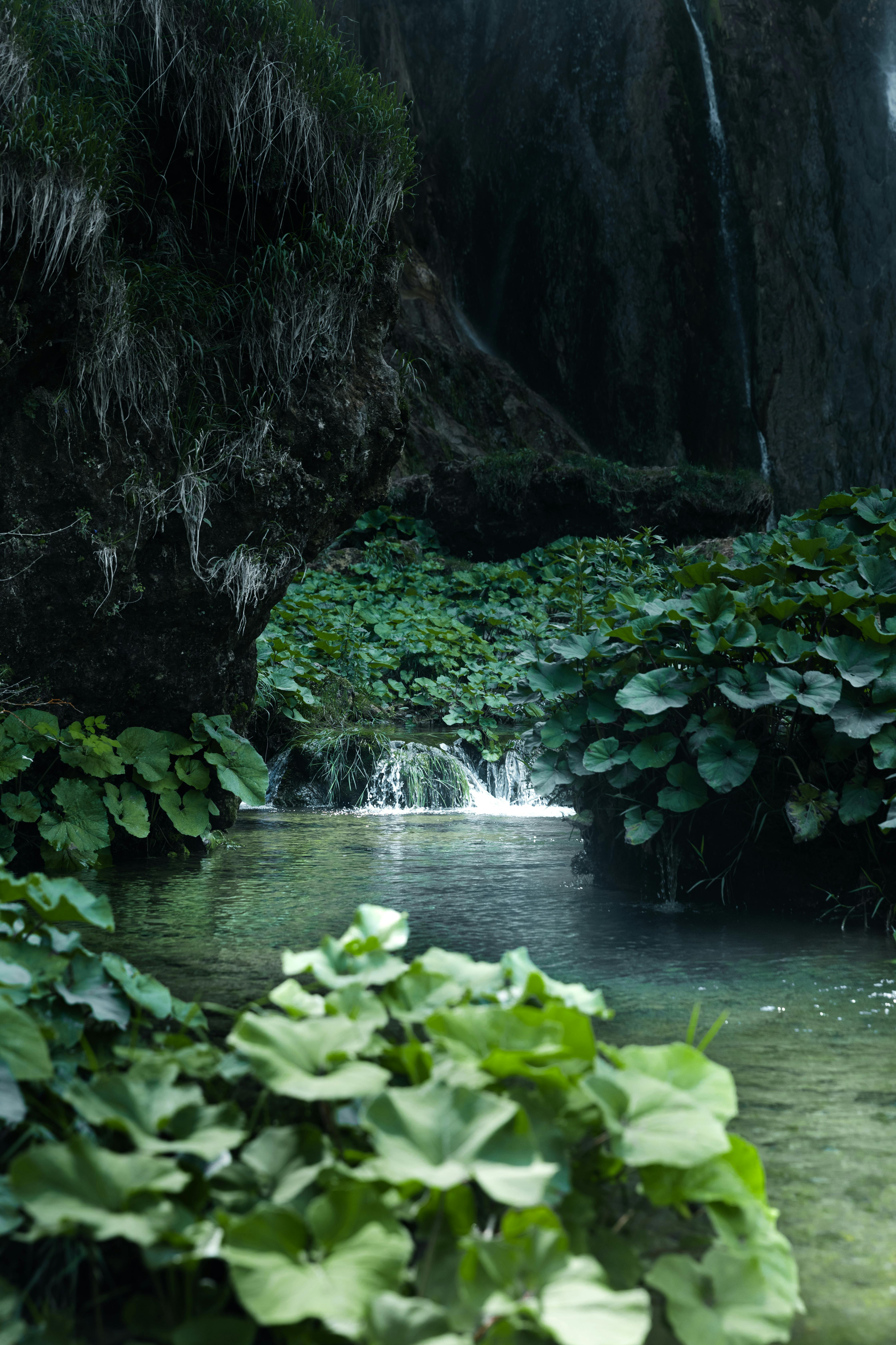 a waterfall in the middle of a lush green forest