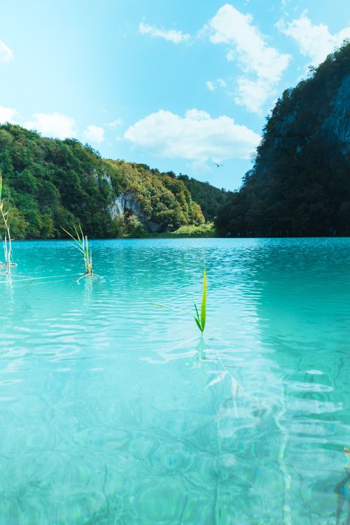 Free Stunning turquoise waters surrounded by lush greenery in Plitvice Lakes National Park, Croatia. Stock Photo