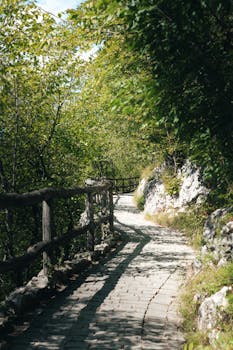 A picturesque footpath winds through lush greenery in Plitvice Lakes National Park, Croatia.
