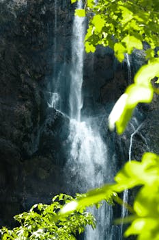 Explore the stunning waterfall amidst lush greenery at Plitvice Lakes, Croatia.