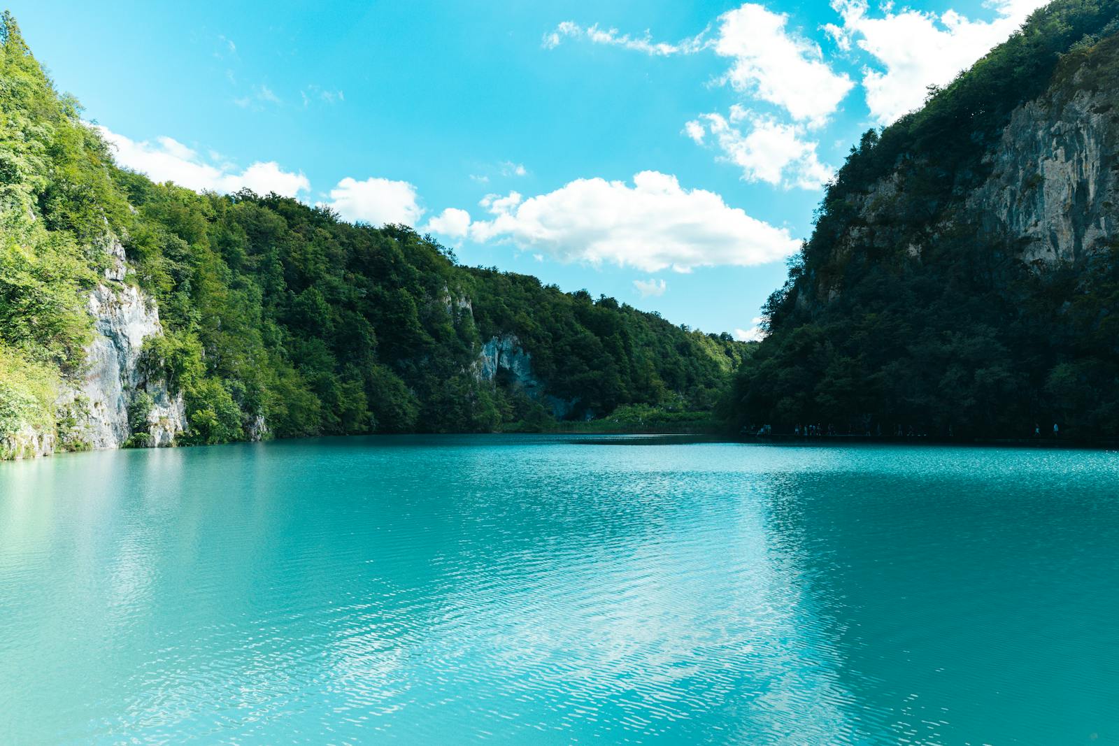 Lacs turquoise dans un environnement verdoyant aux chutes impressionnantes en Croatie