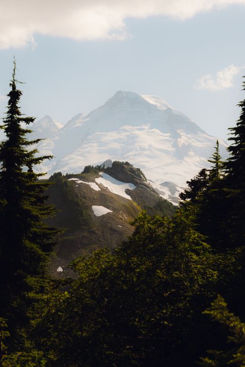 Free Stunning view of snowcapped mountain peaks surrounded by a lush conifer forest. Stock Photo