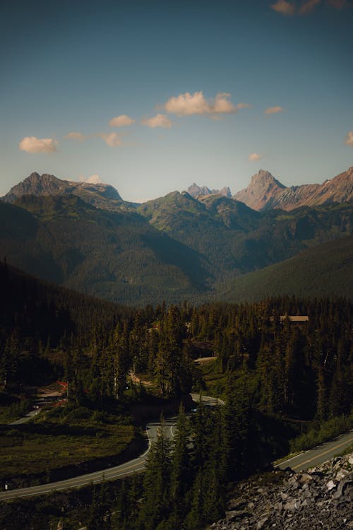 無料 垂直ショット, 山岳, 常緑樹の無料の写真素材 写真素材