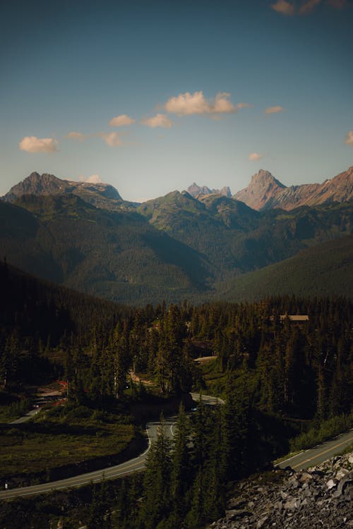 Free Landscape of Mountains and Coniferous Forest in the Valley  Stock Photo