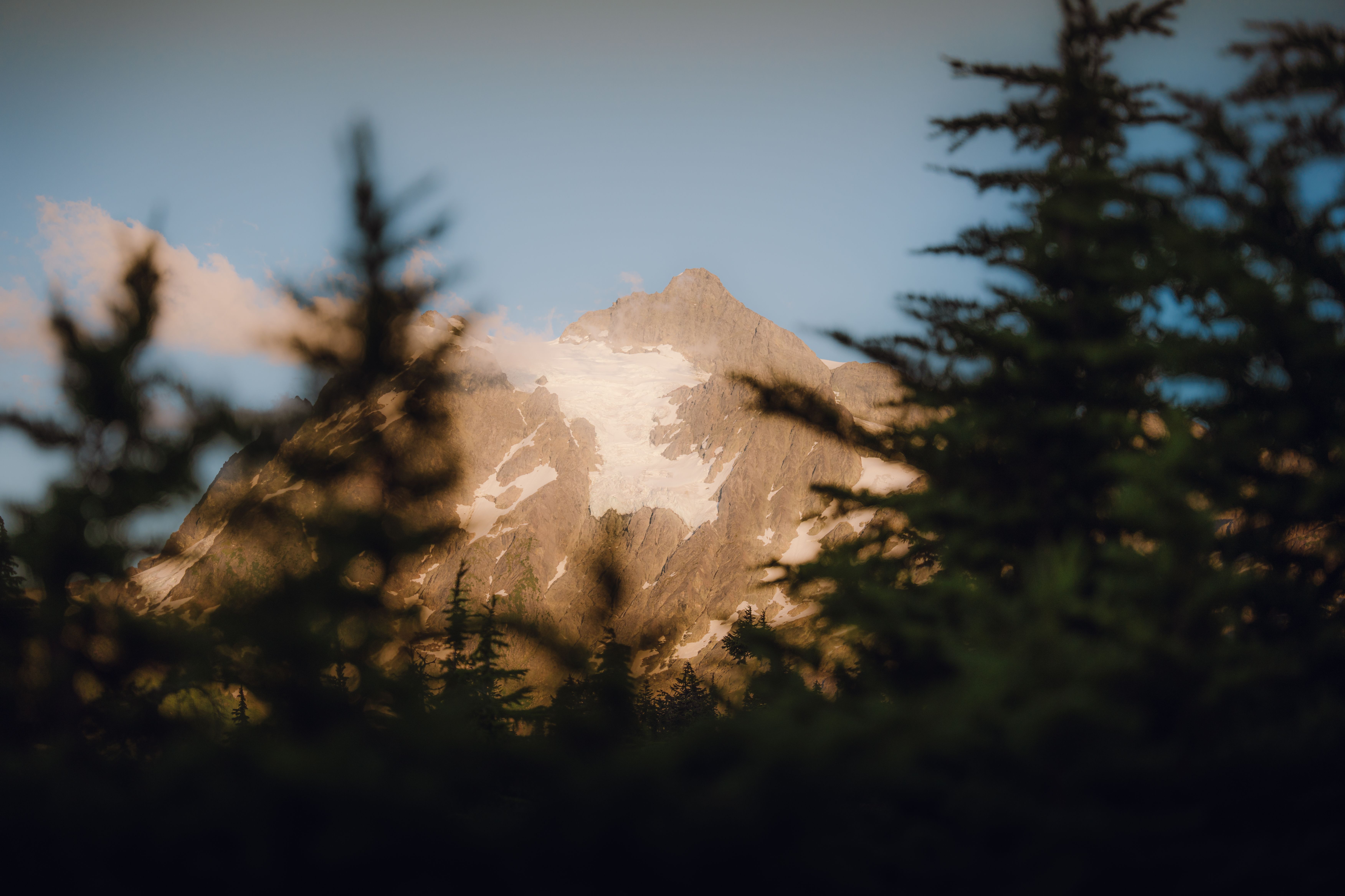 Handmade N Scale Rocky Mountain Backdrop #581 For Train Layouts | Trees And Sky Scene
