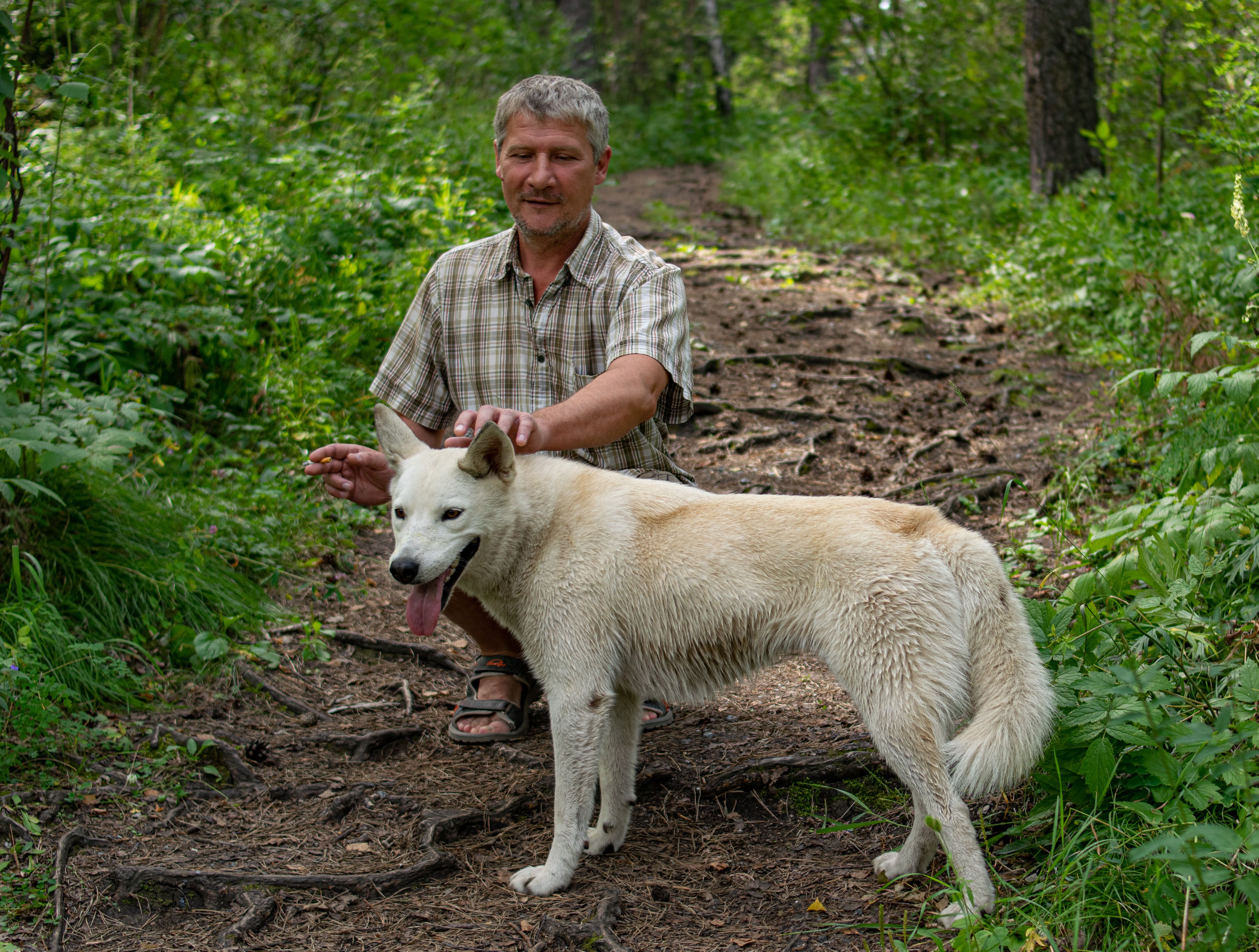 Elderly Man with a Dog in a Forest · Free Stock Photo