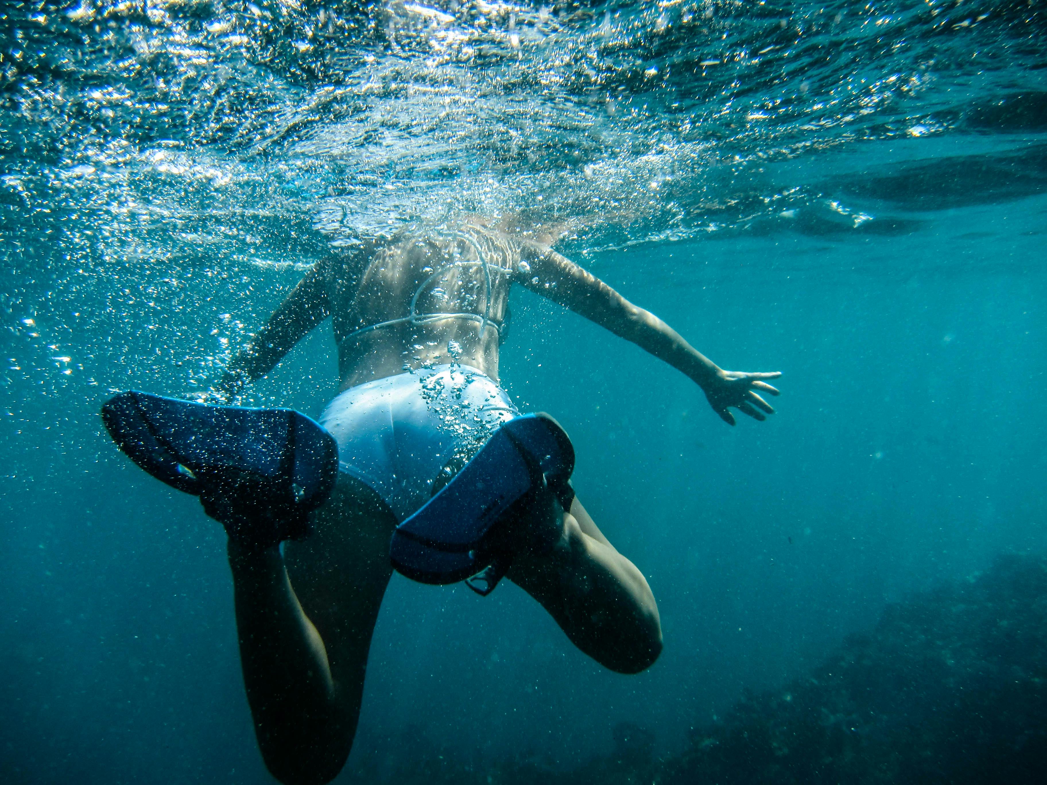 Woman Swimming · Free Stock Photo