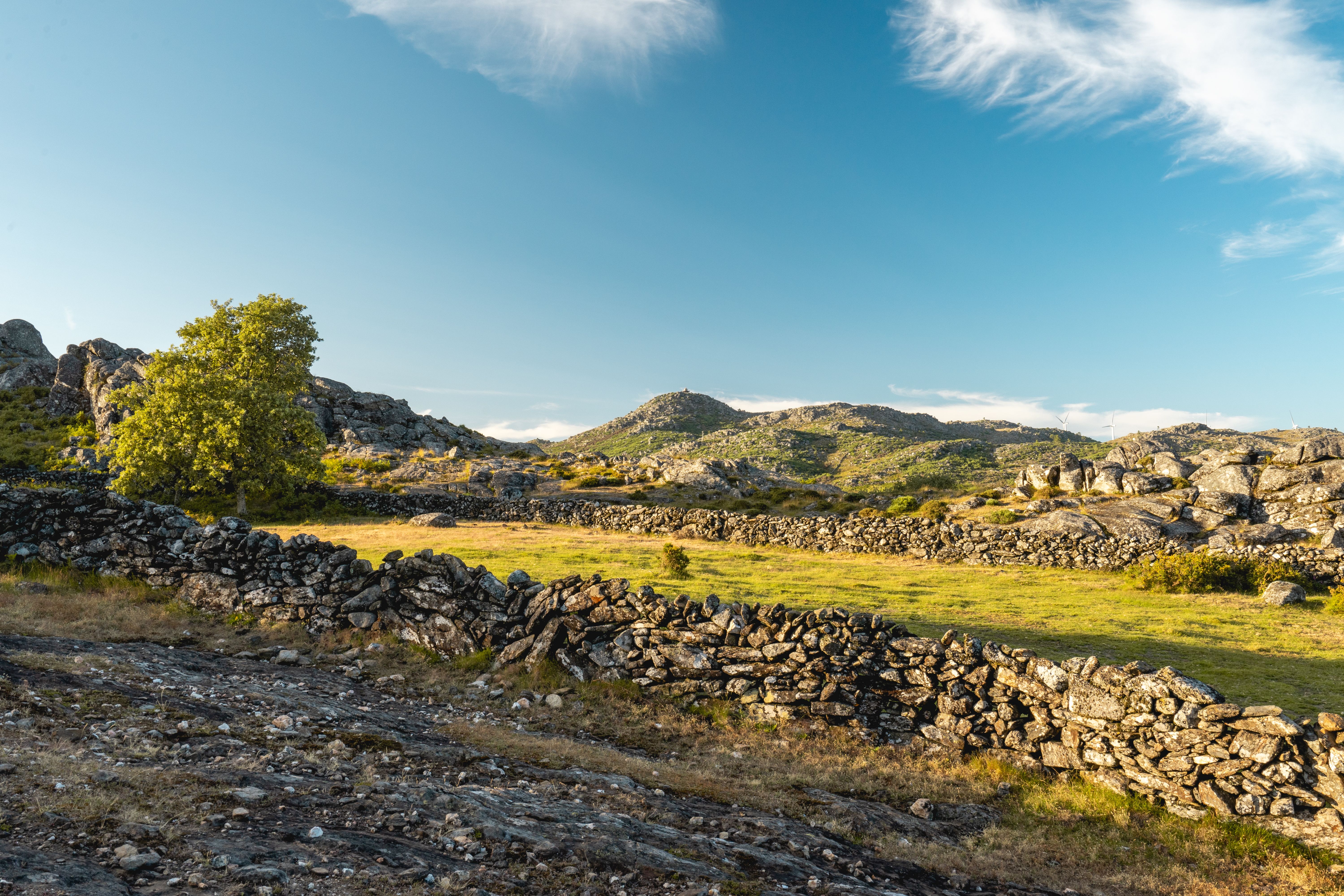 Serra da Estrela Cheese Route