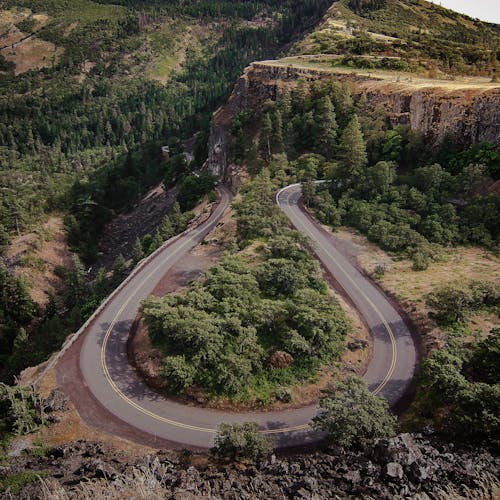 Yeşil Ağaçların Yakınındaki Siyah Beton Yol