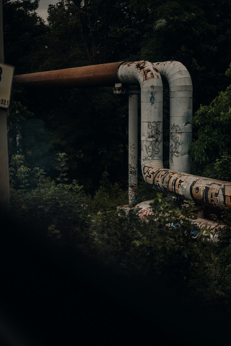 Gas Pipes In Forest