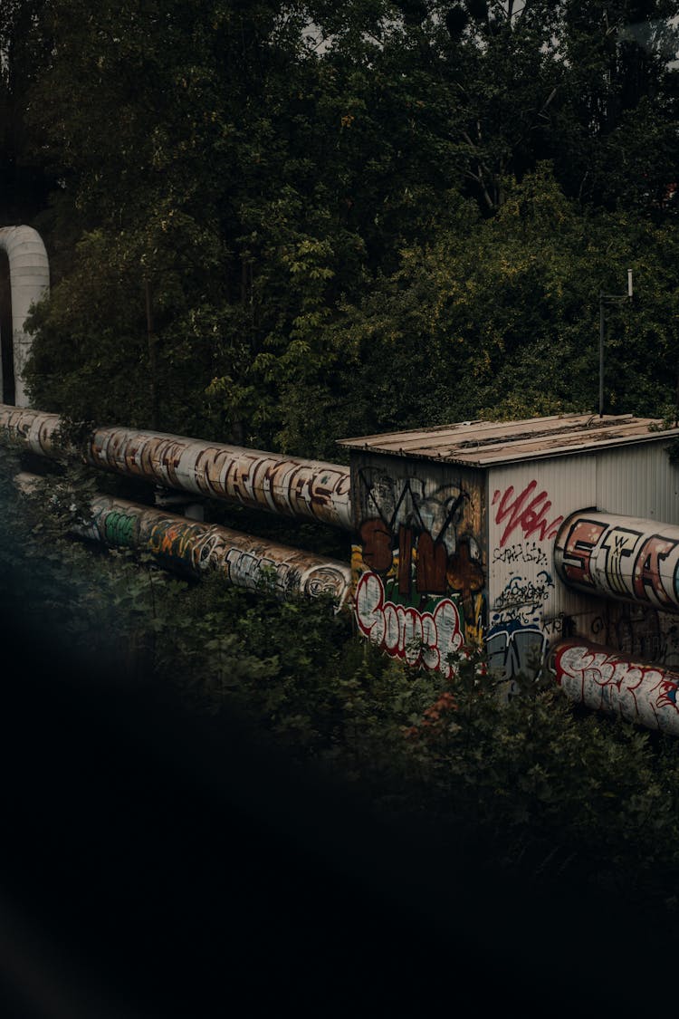 Gas Pipes In Deep Forest