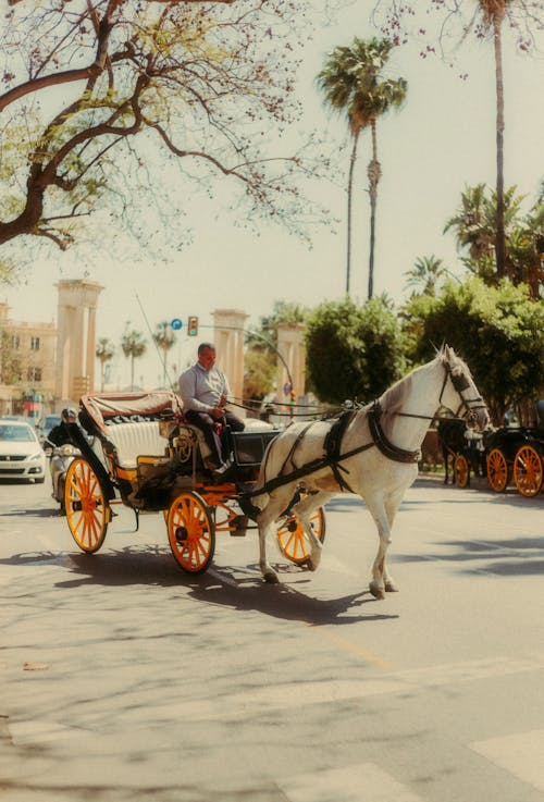 Man on Carriage with Horse in City