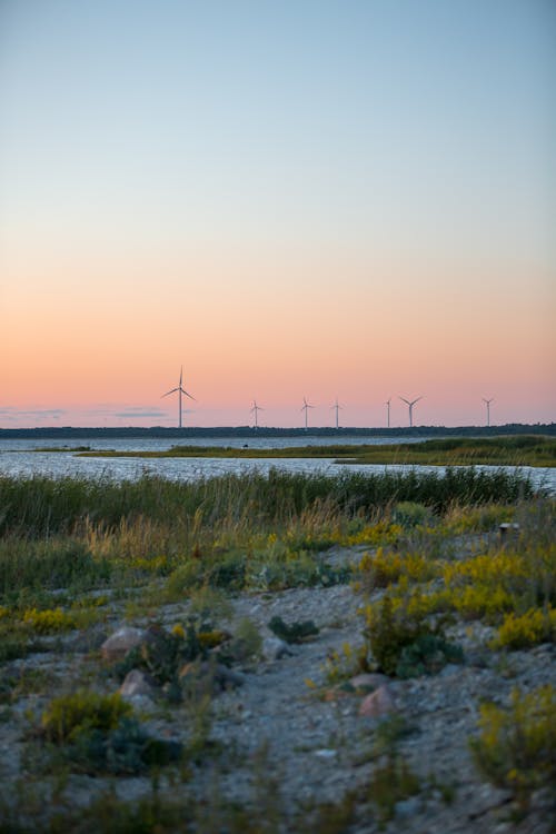 Foto d'estoc gratuïta de aerogeneradors, capvespre, llac