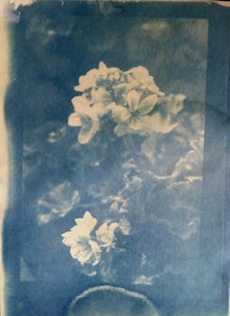 Artistic cyanotype print featuring a delicate floral arrangement with a vintage feel.