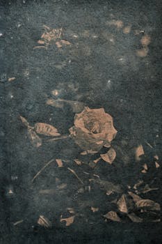Artistic sepia-toned rose photograph blending abstract and vintage styles.
