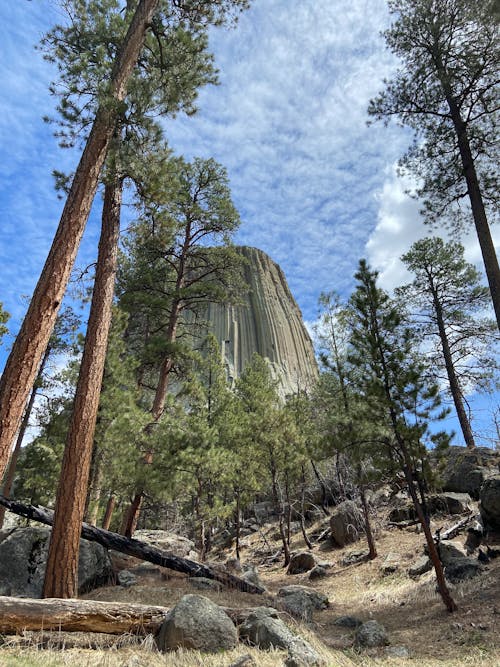 Devils Tower National Monument in USA