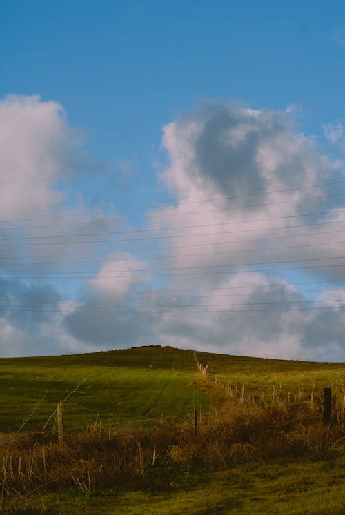 Kostenloses Stock Foto zu feld, grün, himmel