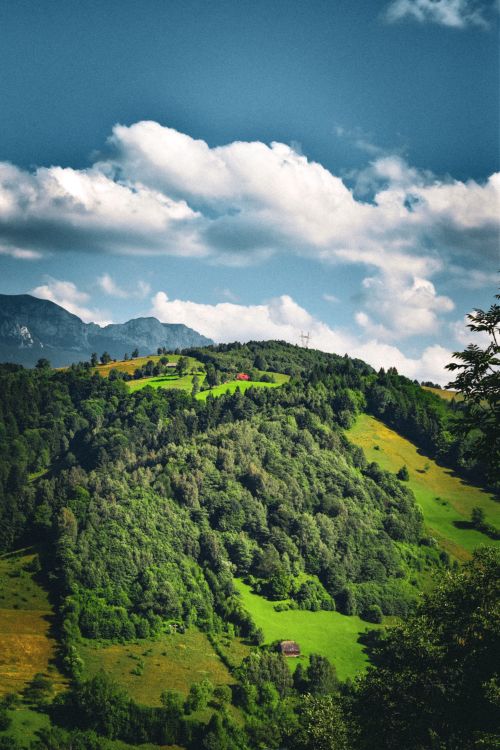 Free Scenic landscape of lush green hills and mountains under a vibrant blue sky, captured in summer. Stock Photo