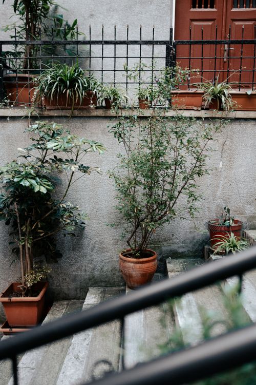 Free A serene urban courtyard featuring potted plants on concrete steps, adding greenery to a concrete setting. Stock Photo