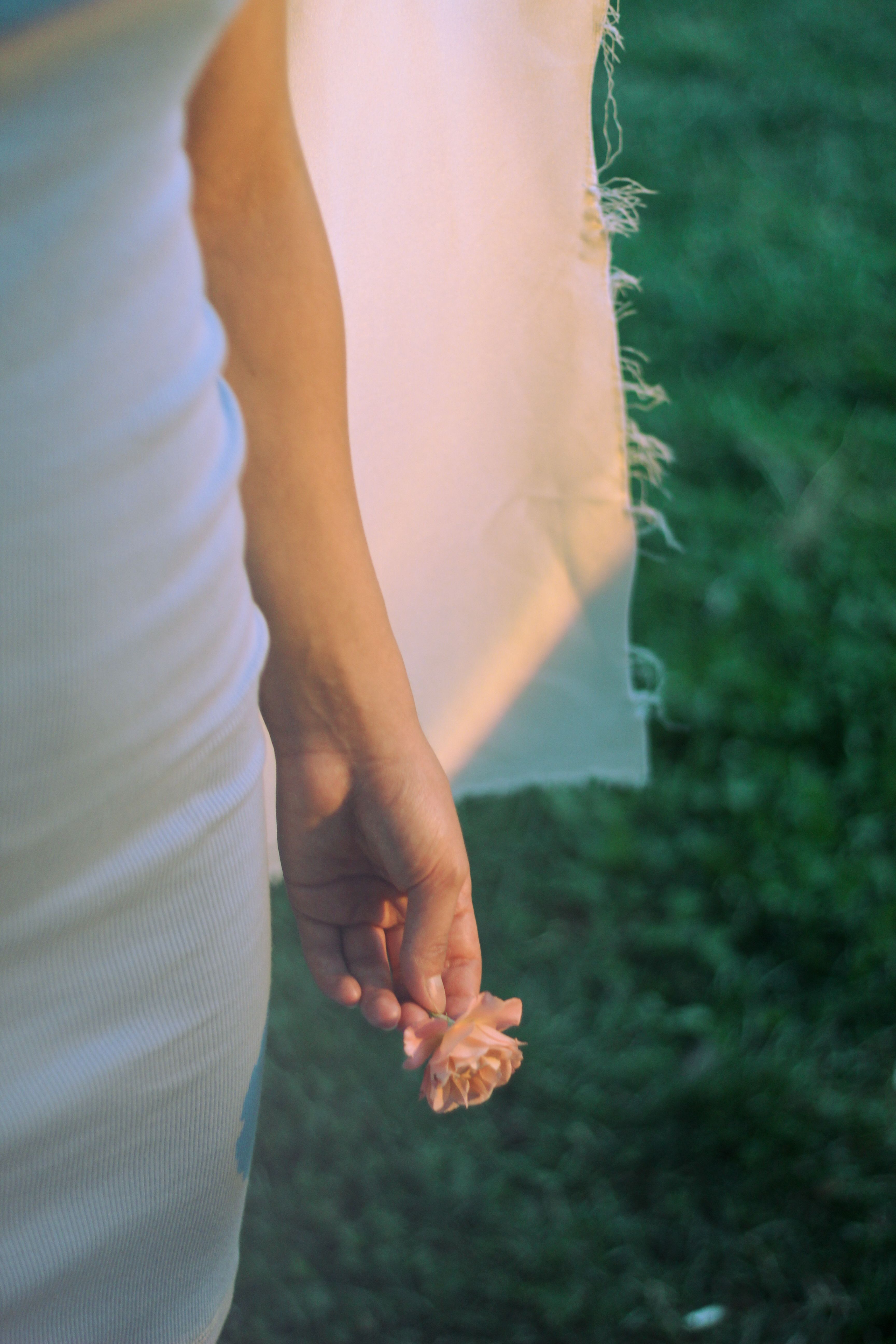 Close up of Flower in Woman Hand · Free Stock Photo