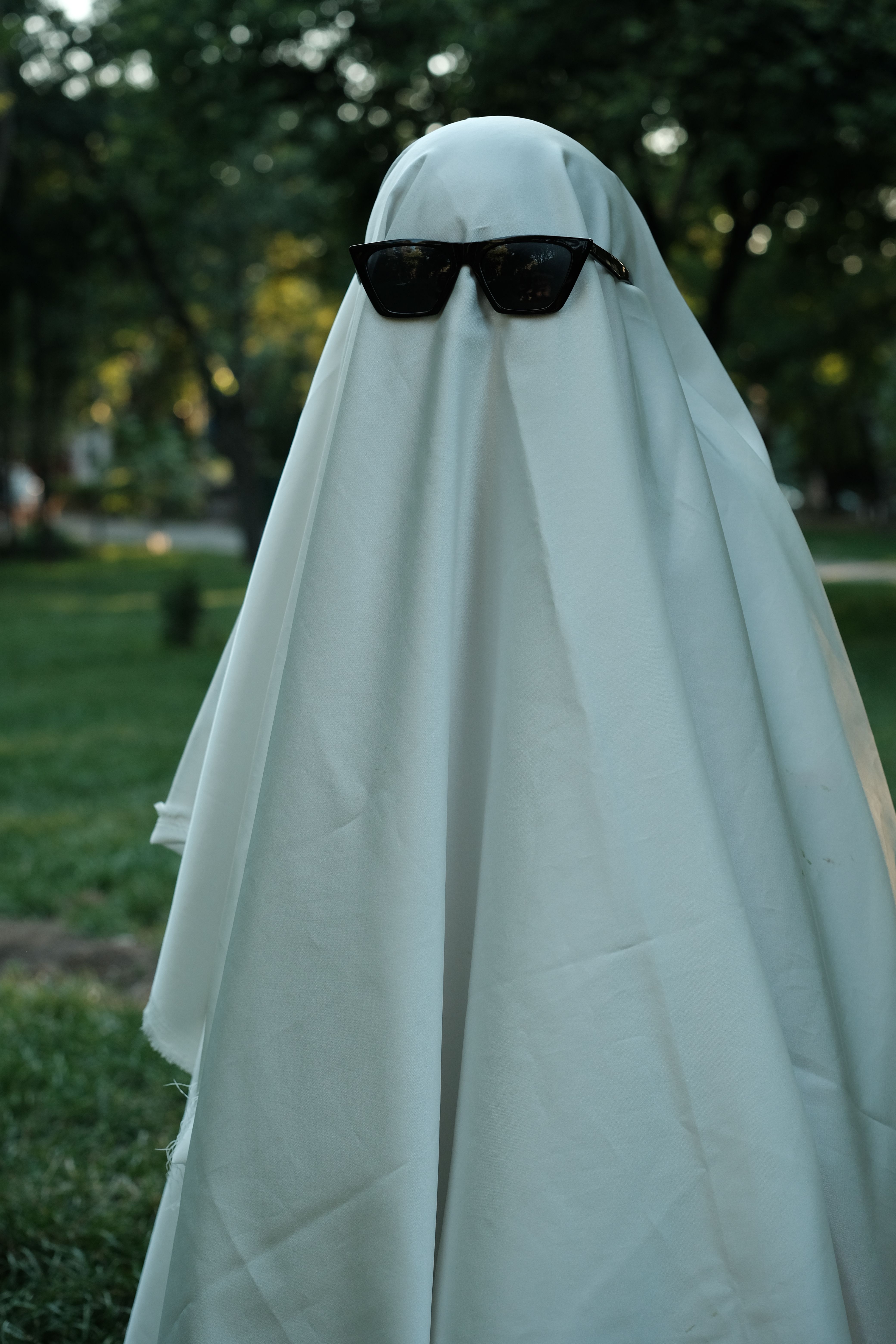 Ghost Writers Photos Download The Best Free Ghost Writers Stock Photos